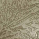 Aerial view of abstract patterns in a desert landscape with flowing sand formations and intricate, organic shapes resembling natural waterways or wind patterns.